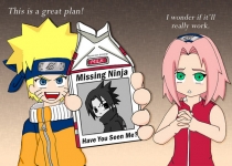 missing ninja